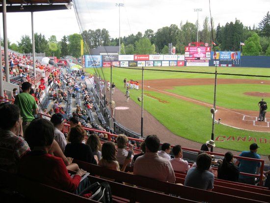 Estadio Scotiabank Field at Nat Bailey